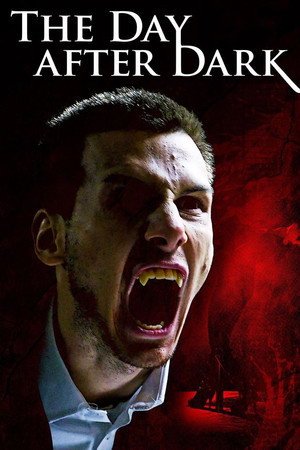 The Day After Dark poster