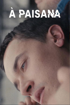 Poster do filme Plainclothes