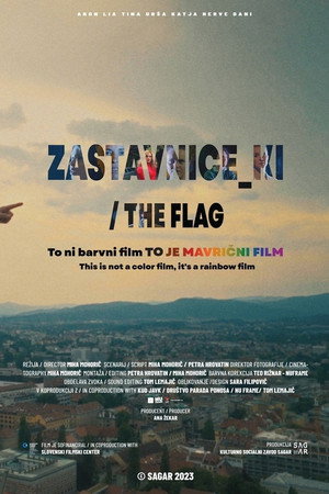 The Flag poster