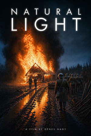 Natural Light poster