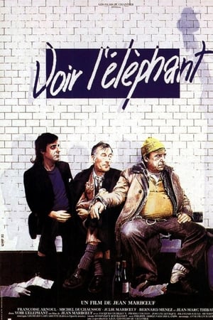 Voir l'éléphant