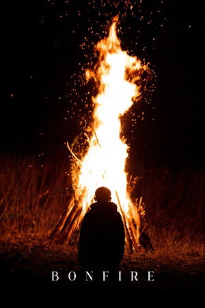 Bonfire poster