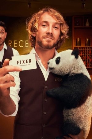 Fixer