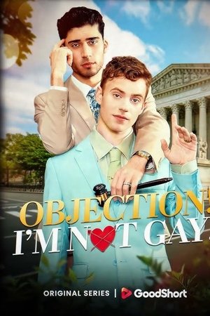 Objection! I'm Not Gay!
