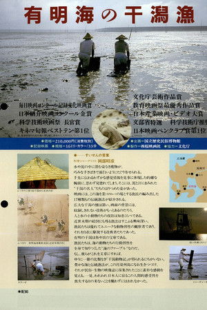 有明海の干潟漁