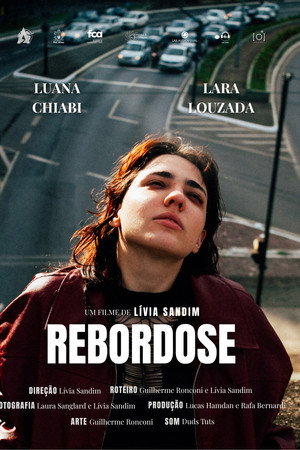 REBORDOSE poster