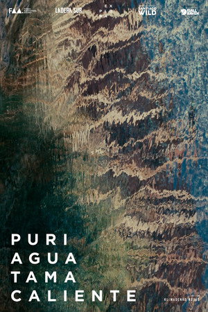 Puritama poster