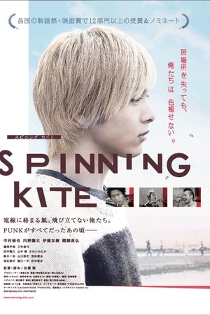 SPINNING KITE