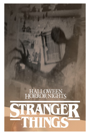 Upside Down Polaroid poster