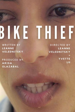 Bike Thief poster