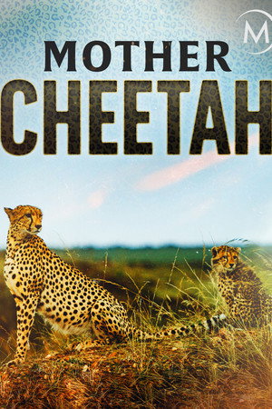 Cheetah Mom poster