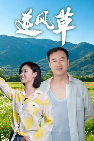 逆风草 逆风草