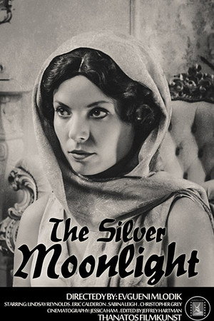 The Silver Moonlight poster
