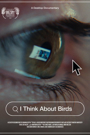 I Think About Birds poster