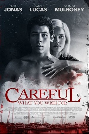 Careful What You Wish for (2015)