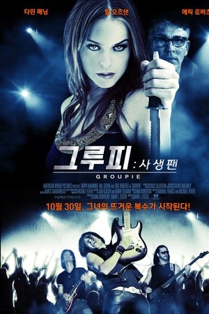 그루피: 사생팬