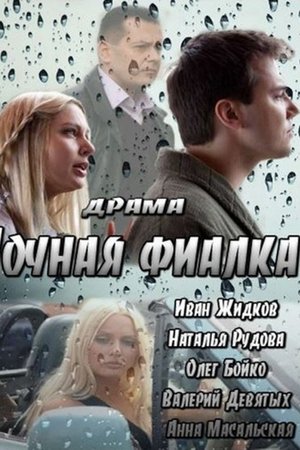 Ночная фиалка