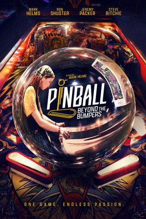 Pinball Beyond the Bumpers