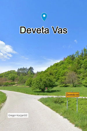 Deveta vas