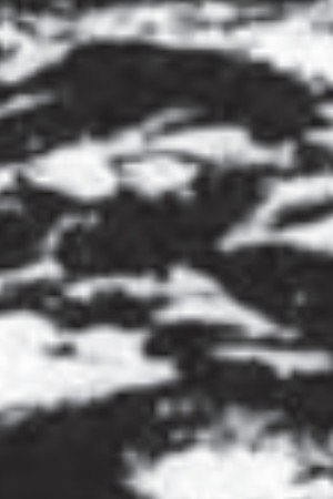 Burren poster