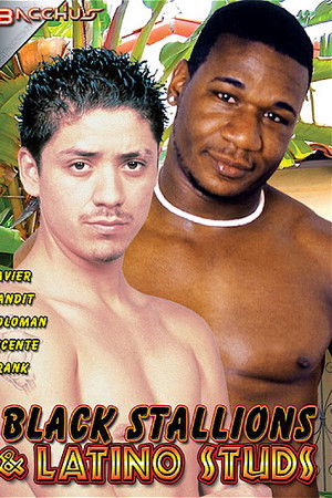 Black Stallions & Latino Studs