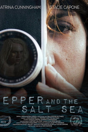 Pepper and the Salt Sea poster