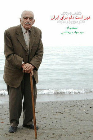 My heart is bleeding for Iran poster