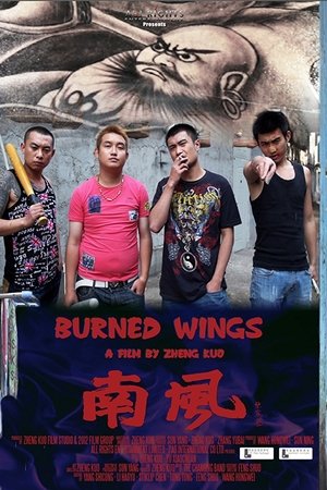 Burned Wings