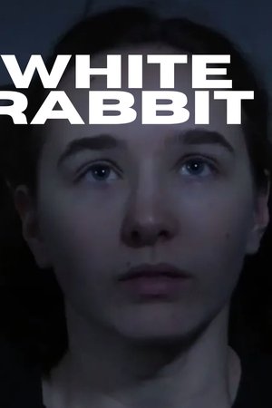 White Rabbit