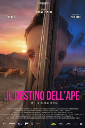 Il destino dell'ape