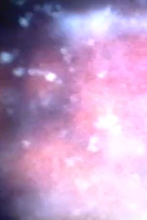 Poster of Stom Sogo Mix