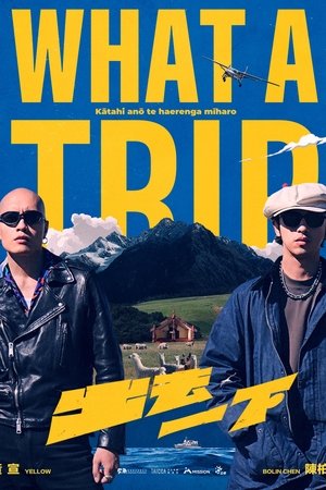 What A Trip