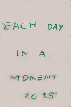 Each Day in a Moment: 2025
