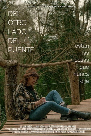 On the Other Side of the Bridge are the Things I Never Said poster