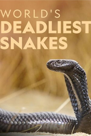 World's Deadliest Snakes