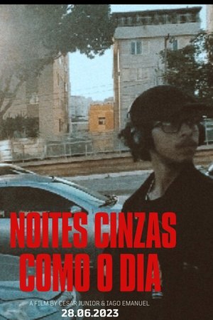 NOITES CINZAS COMO DIA