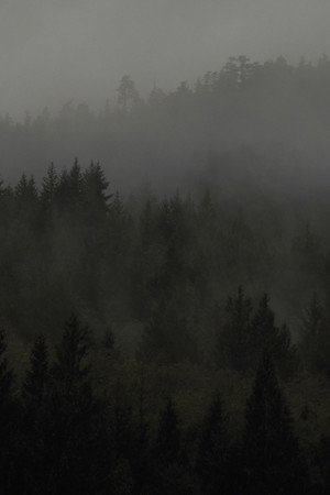 Green Valley poster