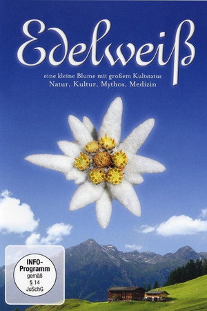 Edelweiss poster