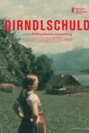 Poster of Dirndlschuld