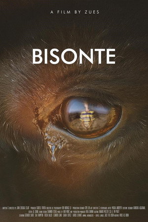Bisonte poster