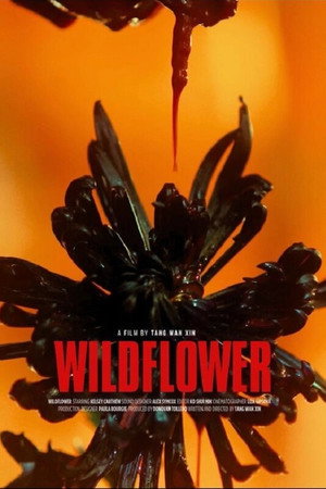 Wildflower poster