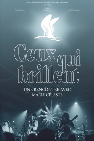 Ceux qui brillent poster