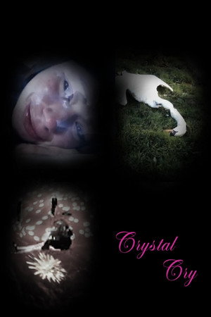 Crystal Cry poster