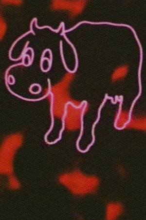 Neon Cow poster