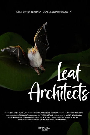 Leaf Architects poster