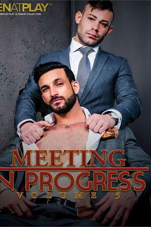 Meeting in Progress 5