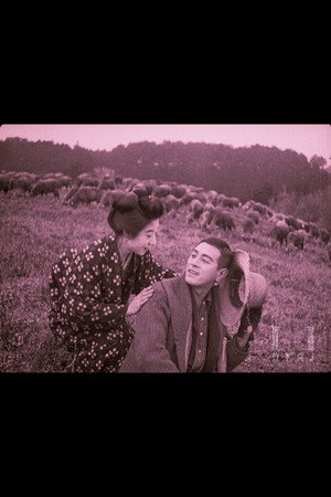 小羊