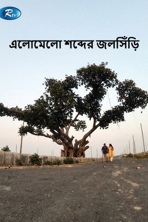 এলোমেলো শব্দের জলসিড়ি