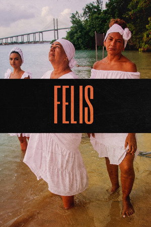 Felis