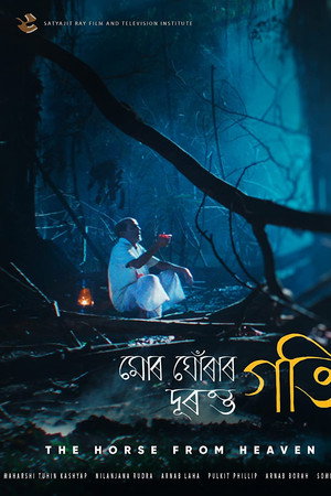 The Horse From Heaven poster